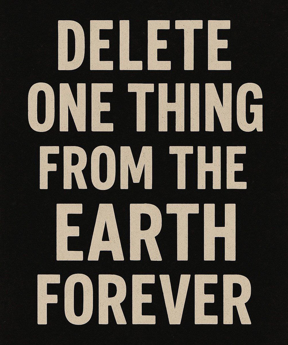 Emily 🦋 tweet media