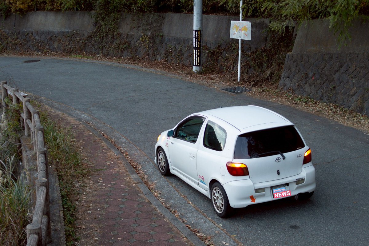 きゃん tweet media