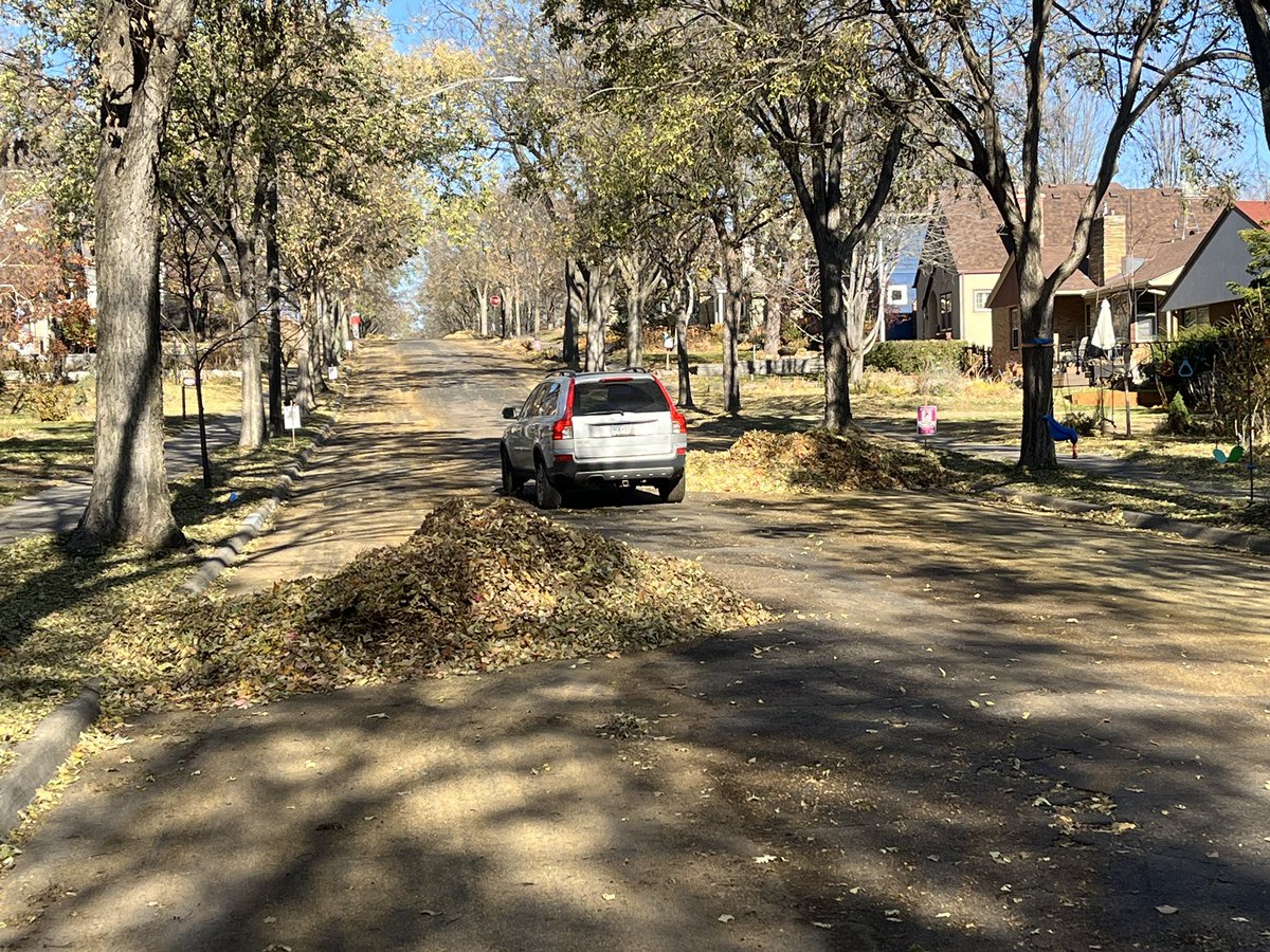 Street sweeping day giving us the traffic calming chicanes and neckdowns we deserve