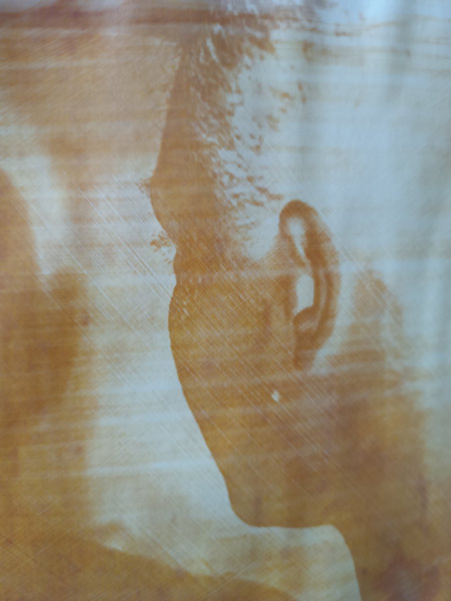 roozbbzoor's tweet image. اولین چاپ تو خونه،
خیلی هیجان انگیزه.
#anthotype