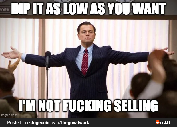https_doge tweet picture