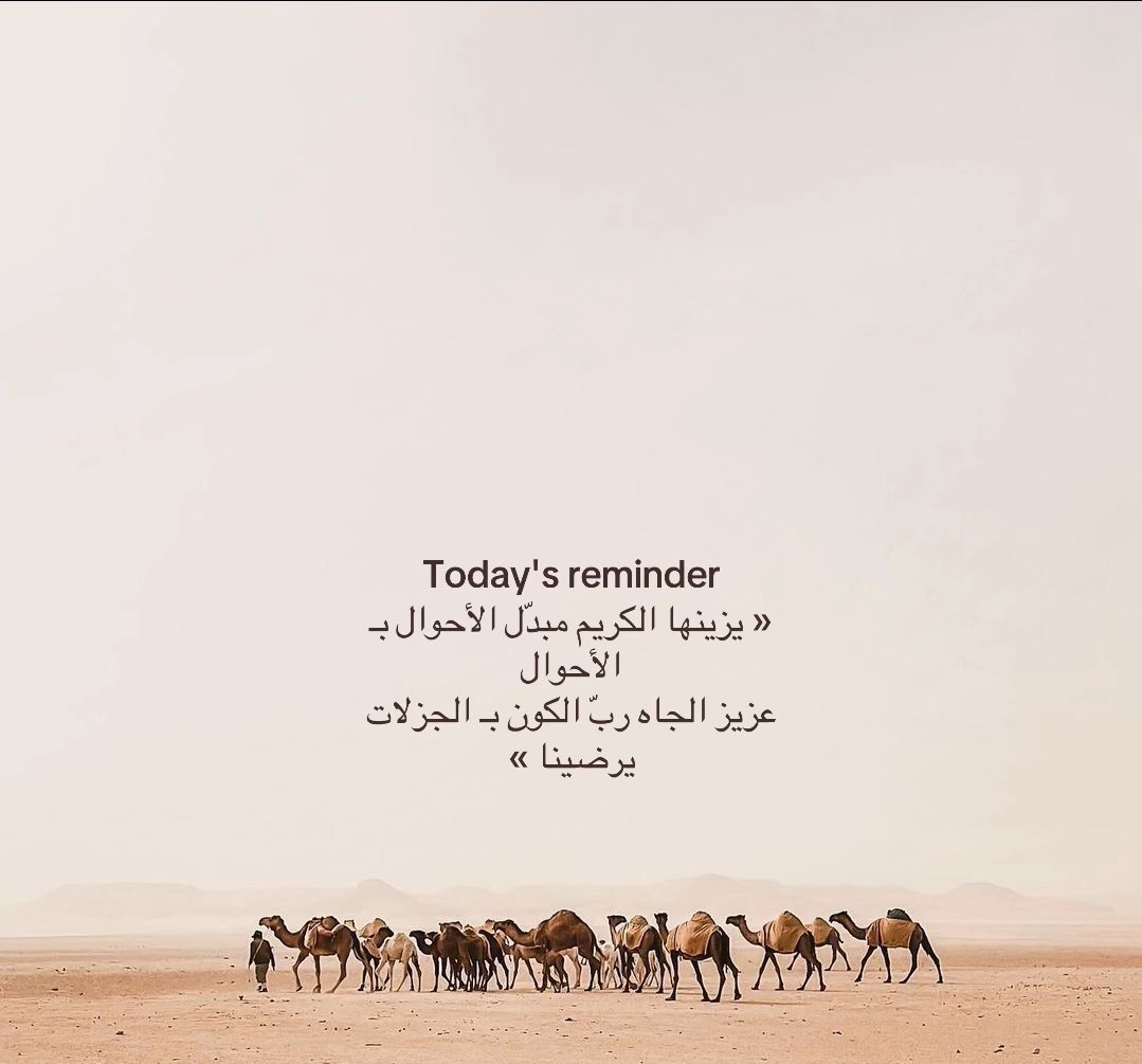 _reallr's tweet image. 