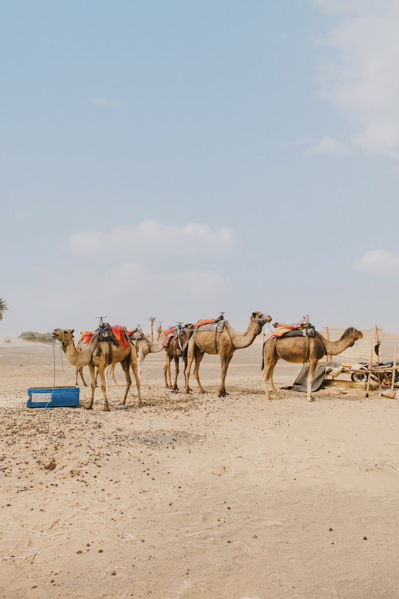 Photos I took in Morocco