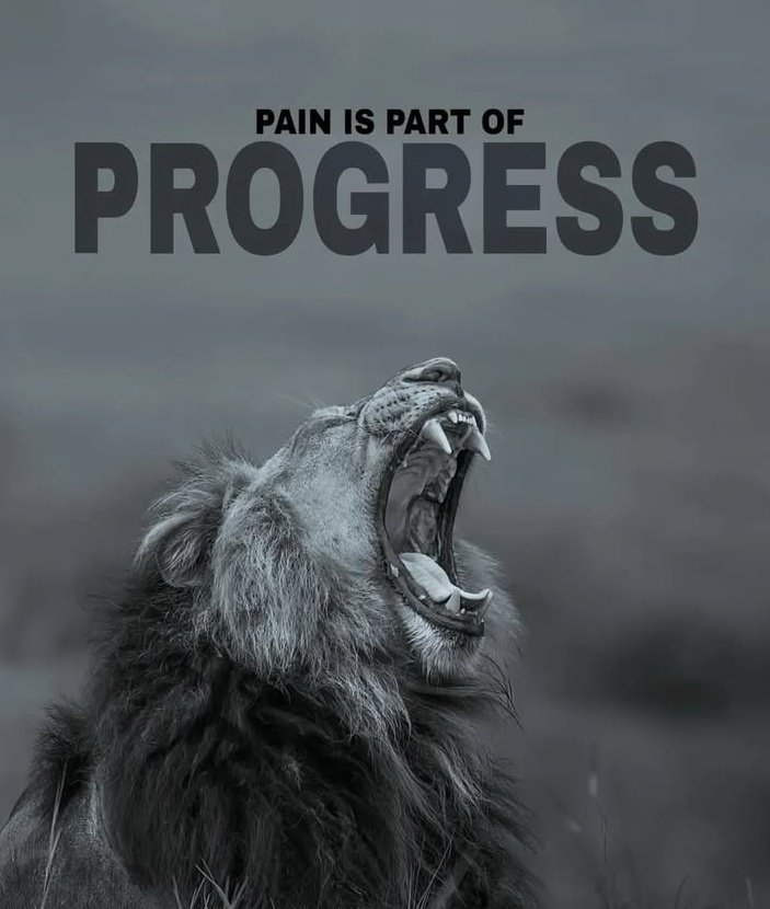 Faran_Champion's tweet image. Today Report

🟥Daily =9600pips 

🟢Monthly =11466 pips

🟦Yearly(from May) =45381 pips

Good night DEALERS 🌃🌃
Huge thnkx 4 support ❤️

#USDJPY #EURUSD #PIPSDONE #GOLD #XAUUSD #Trump #Finance #Nas100 #Dax40