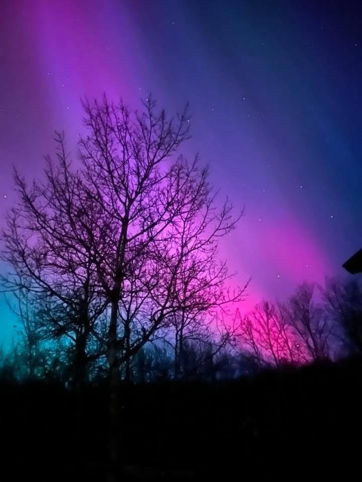 RobMirlach's tweet image. This is last night at my brothers place in Canada.

I’ve never seen anything but green northern lights my whole life until last night.