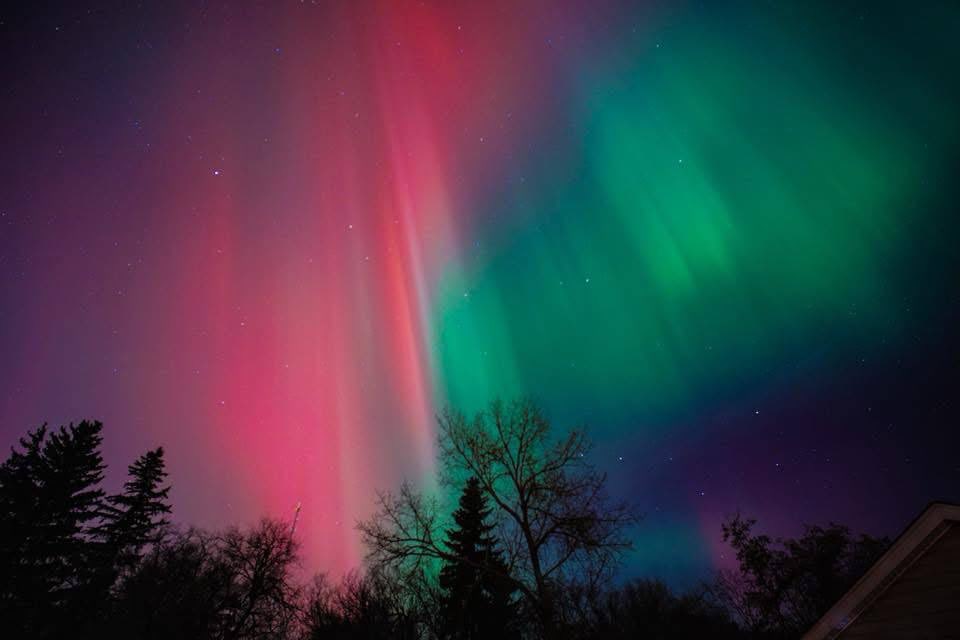 RobMirlach's tweet image. This is last night at my brothers place in Canada.

I’ve never seen anything but green northern lights my whole life until last night.