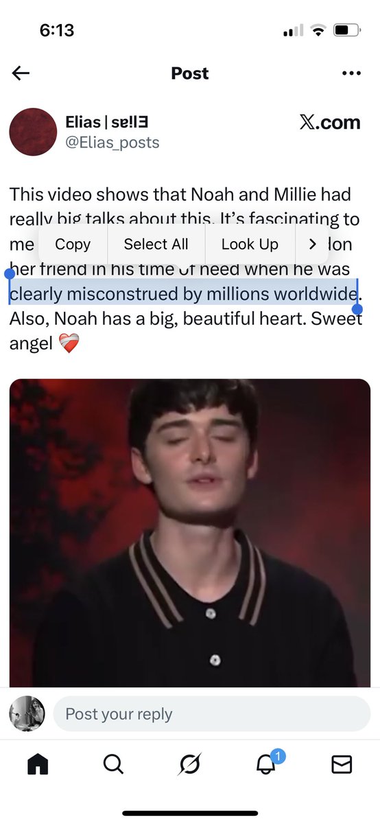 ‘misconstrued by millions’ and he’s literally laughing and handing out ‘zionism is sexy’ stickers. baby there is nothing to be misconstrued there that’s so very blatant