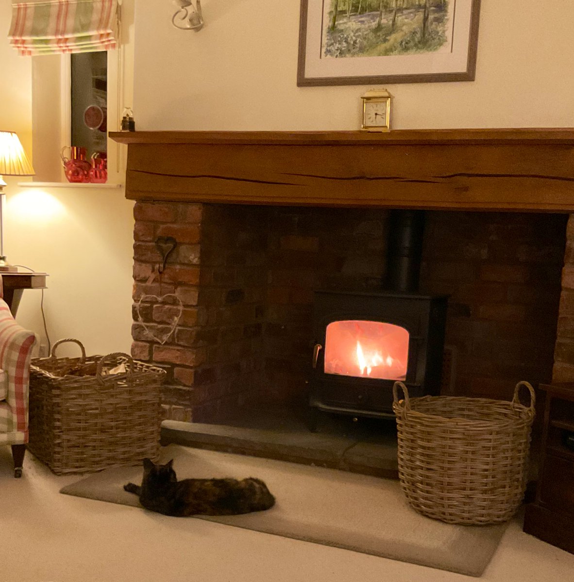 shrewsmorris's tweet image. Lola, our beautiful torty rescue cat, who would have been homeless not so long ago, now safe, warm and loved in front of a log fire. 🐱❤️😊👍