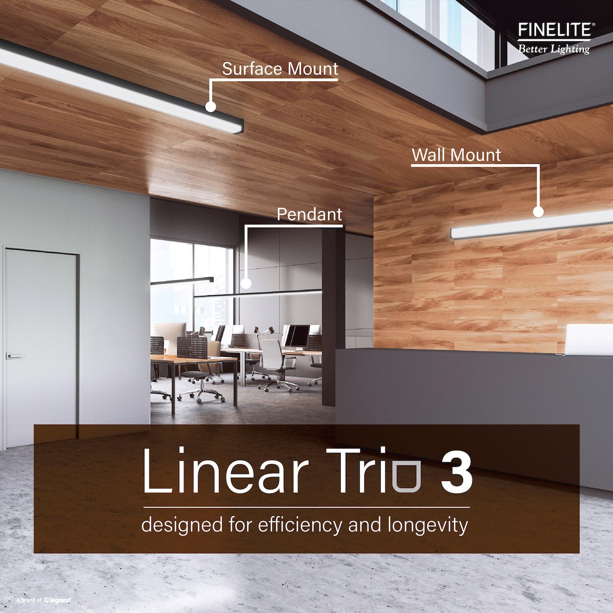 Finelite tweet media