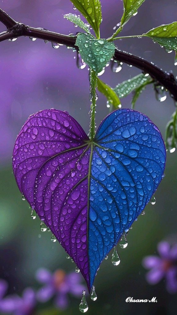 All about nature (@allaboutna91431) on Twitter photo 