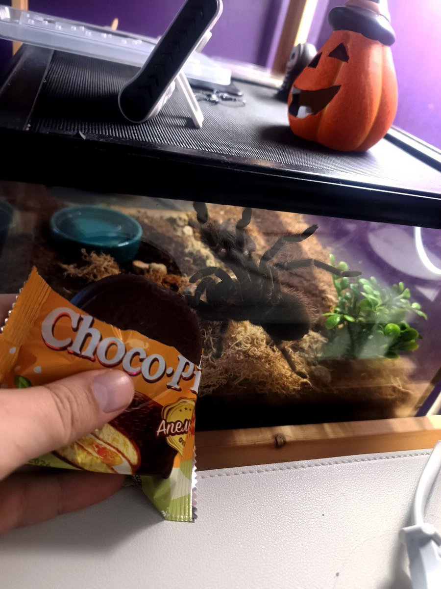 Buran-kun tweet media