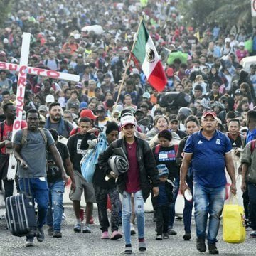 Elephant Signal 🐘🇺🇸 tweet media