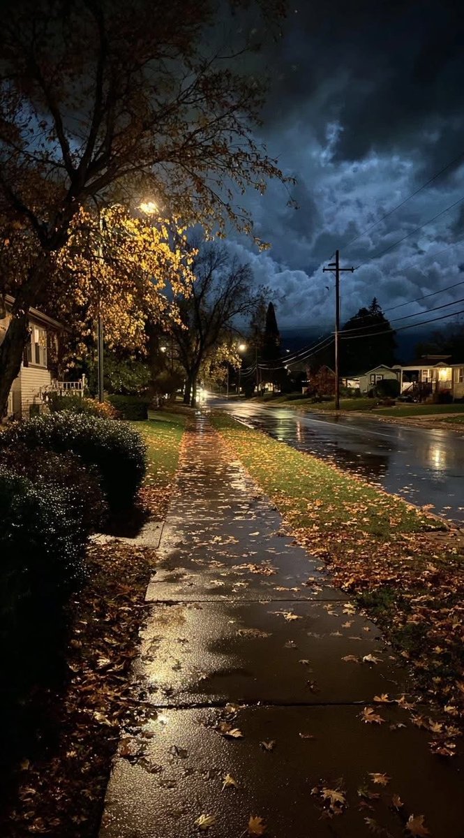 earthcurated's tweet image. 🍂🌧️