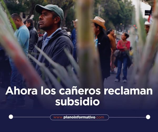 #Nacionales | ❗️📢 Alrededor de 500 productores de Veracruz, Morelos, Puebla y San Luis Potosí exigen un subsidio de 300 pesos por tonelada de azúcar. 

Nota completa: tinyurl.com/yn3tvtnr
