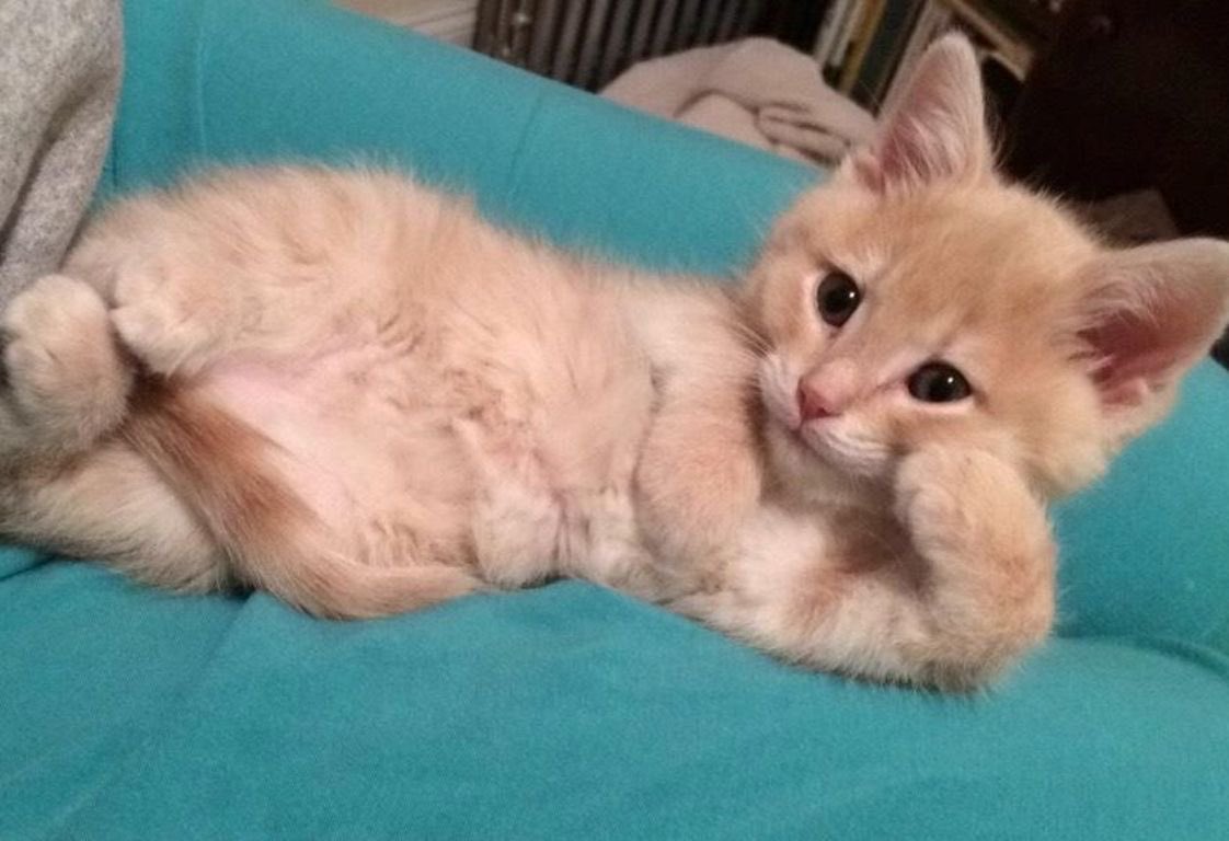 Me giving PwC the silent treatment 
قدحه اه قدحه