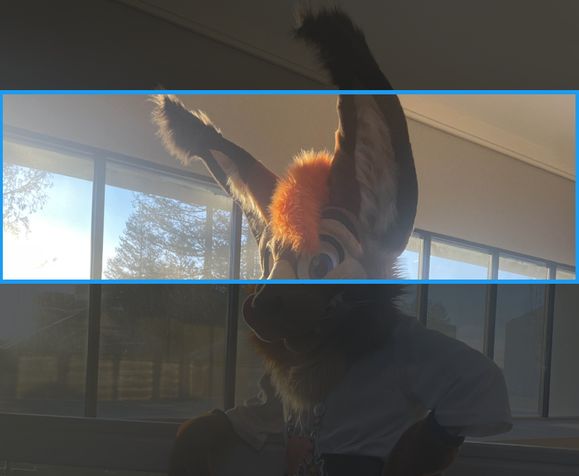 How am i supposed to fit all the ear in my header?