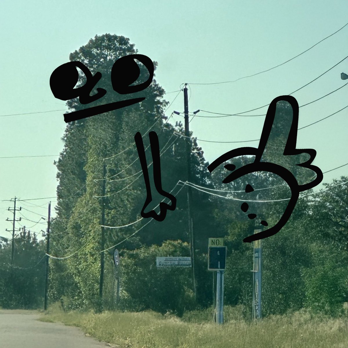 what does this mean?