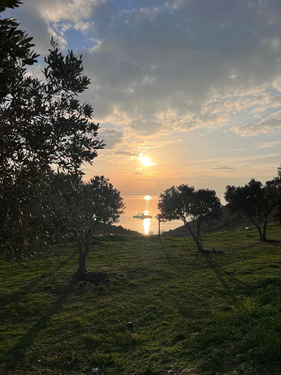 msbalioglu's tweet image. 12.11.25