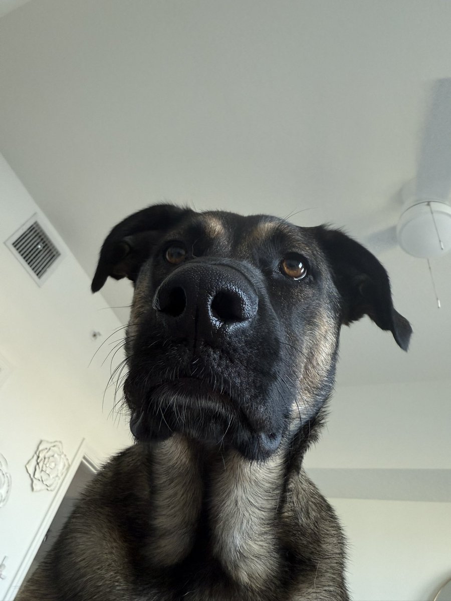 Olivia Krolczyk ✞ tweet media