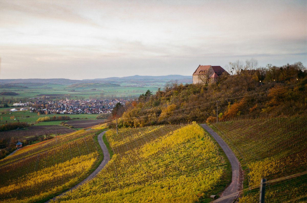 a man and his best friend enjoying the view