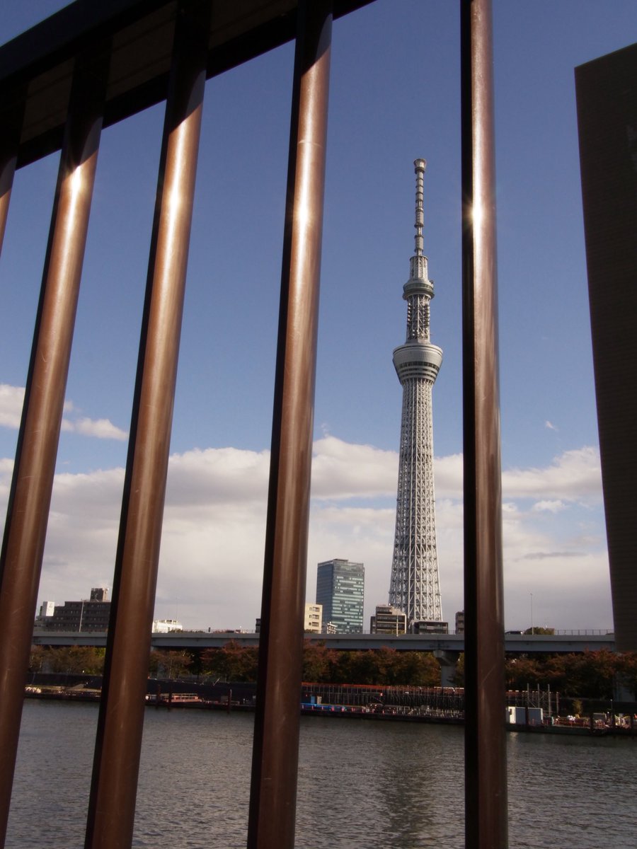 chanpo_photo's tweet image. #XIAOYI 12-40mm F3.5-5.6
#M43 
#MFT
#キリトリセカイ