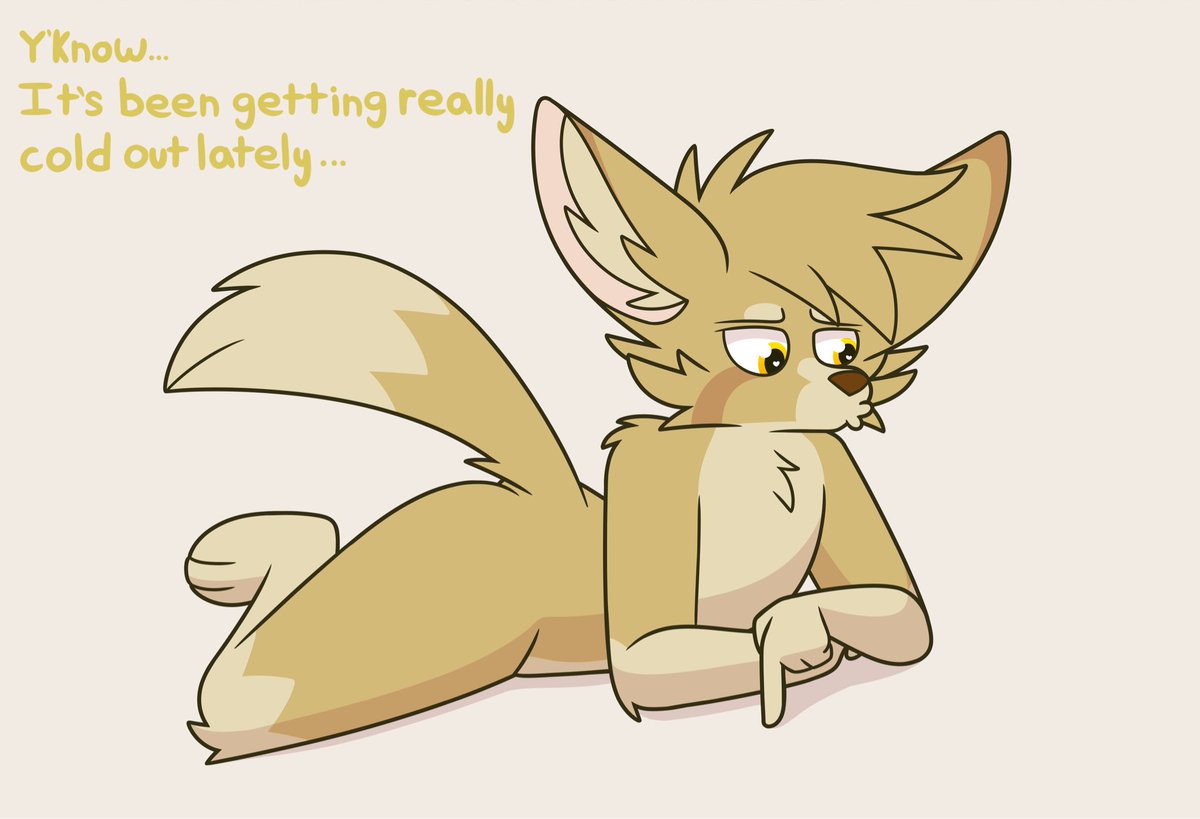 Baby_Demon18's tweet photo. A fennec in need of warmth this time of year. Won’t you help? O~o https://t.co/HSXrqtVJts