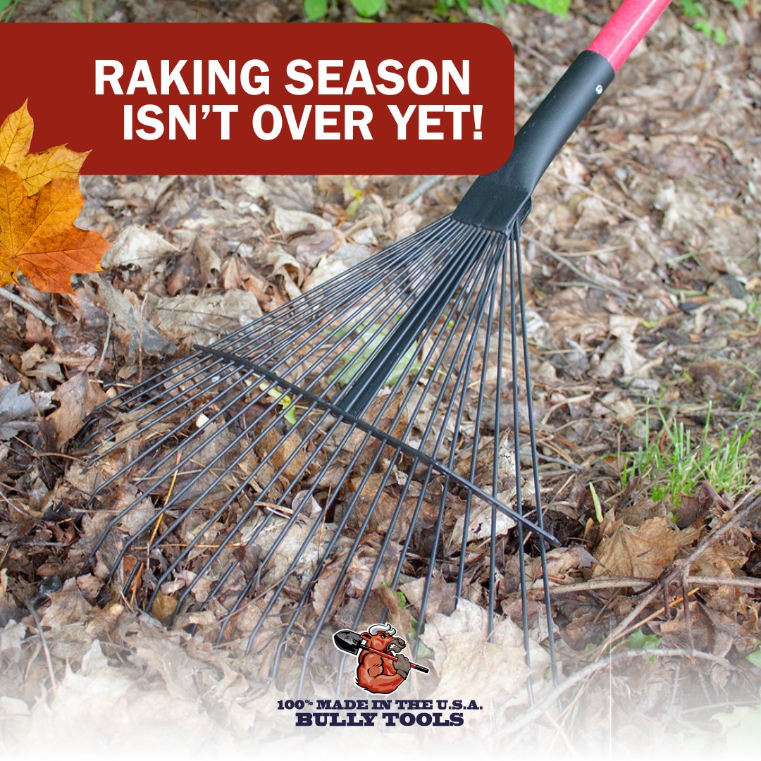 BullyTools's tweet image. Raking season isn’t over yet. 🍁 Leaves don’t stand a chance. Our heavy-duty rakes make clean-up quick so you can enjoy what’s left of fall. Save 15% off now with promo code Bullied15 at checkout! Shop here! bit.ly/3X9lBZI  

#BullyTools #BuiltToBeBullied #MadeintheUSA