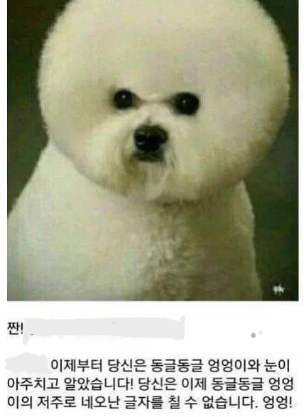 네로 Nero 🌊RIVER tweet media