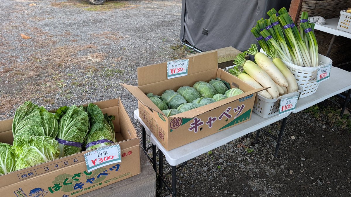 黄金のやさい屋さん🍅伊達市の直売所 (@kogane_831) / Posts / X