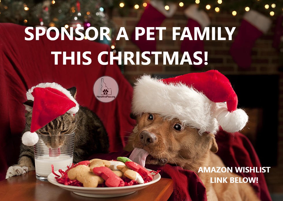 HandAndPawOrg's tweet photo. Christmas is coming! Sponsor A Pet Family this year and help us bless them with a special gift.  https://t.co/jYmIuz7Rv1 https://t.co/D5HUkR4nY0