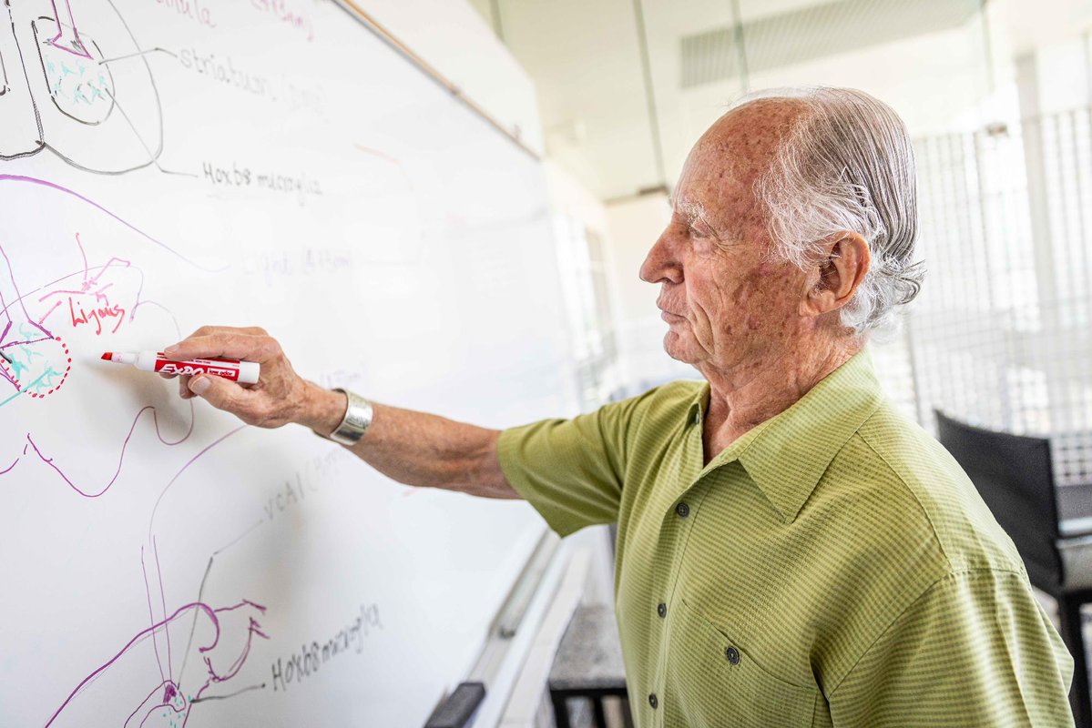 Cells in the brain's immune system can act as "accelerators" and "brakes" for anxiety, opening the door to new treatments for anxiety disorders.

Learn more about the "Research in Mice Reveals Brain Cells That Drive—And Prevent—Anxiety" bit.ly/4i6RcFd