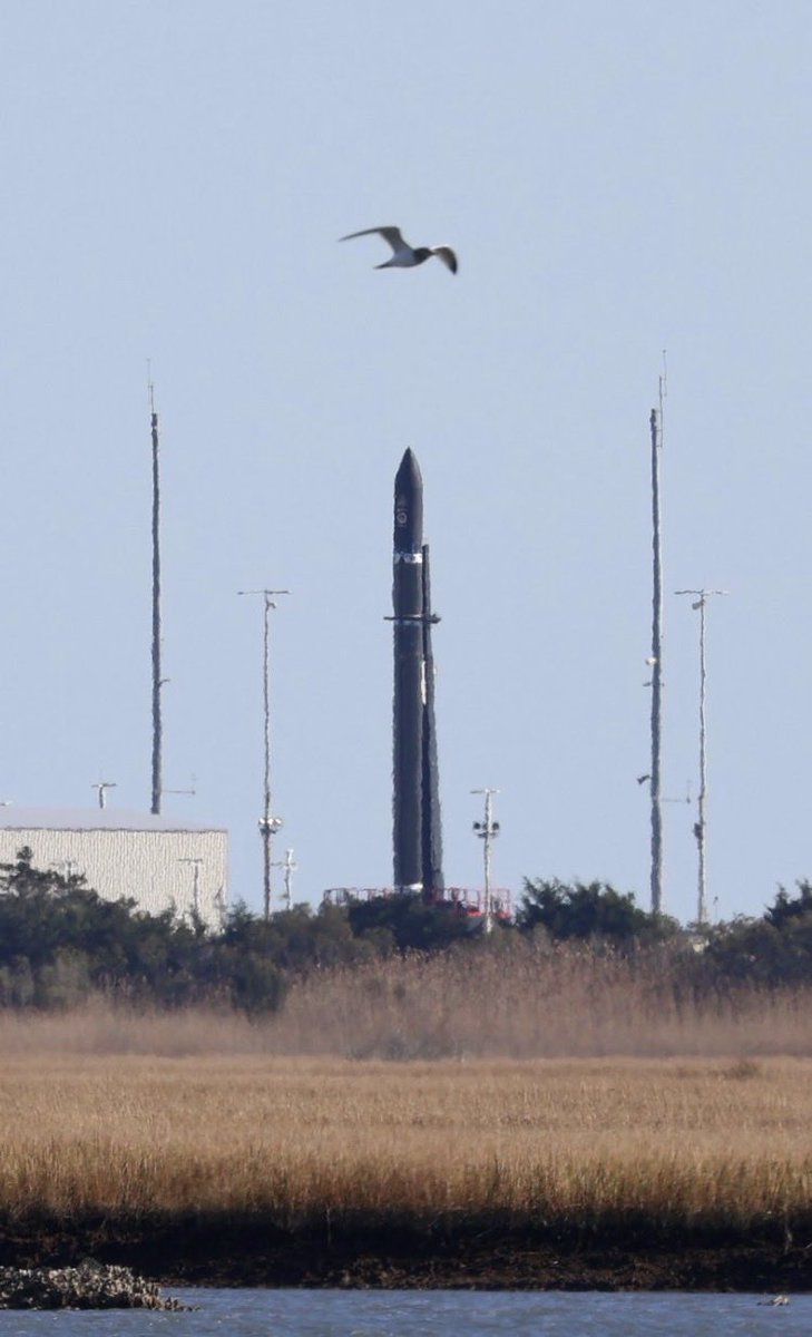 ToasterNZ's tweet image. (dry humour)

Massive freak seagull sighted taking aim at HASTE Electron. 

🕊️💩 

Photo credit @NASASpaceflight 

$RKLB #electron #haste #rocketlab
