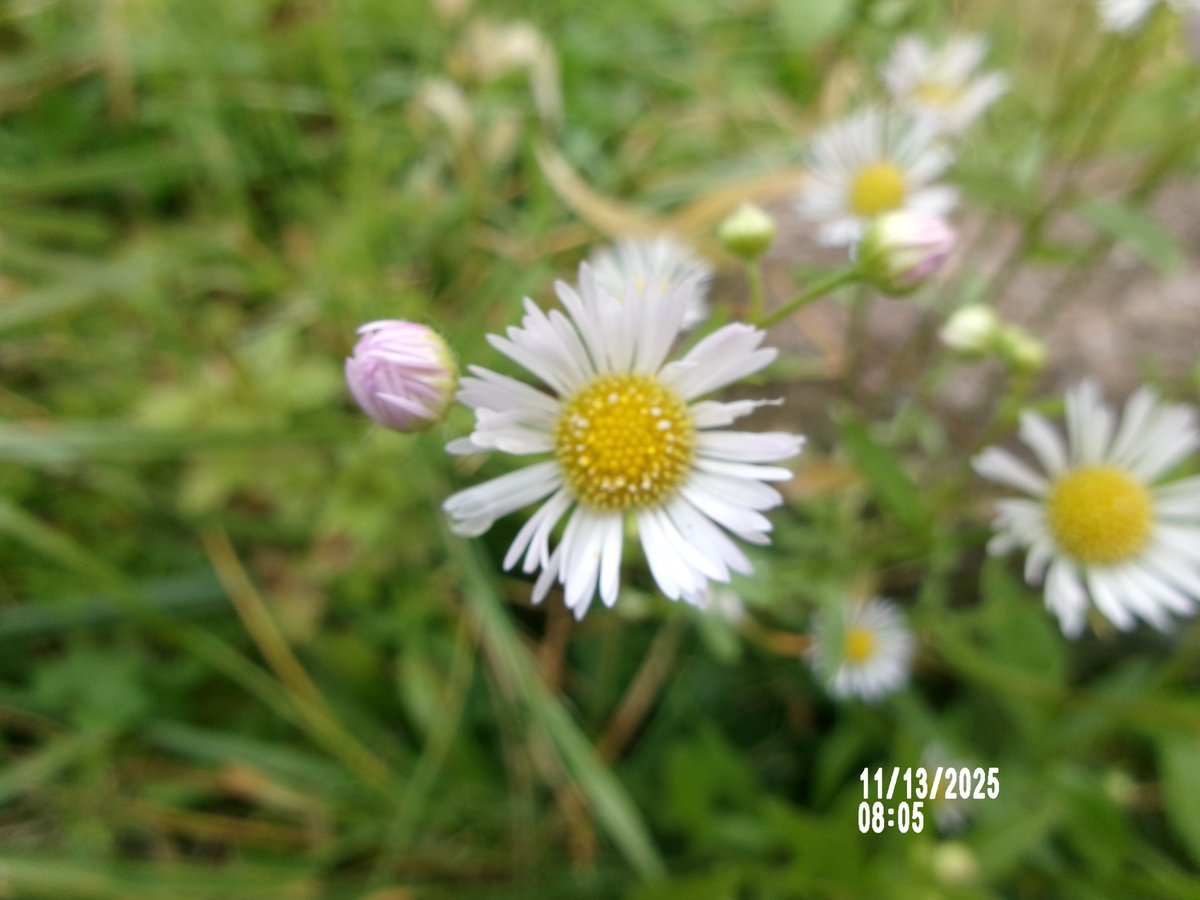 のりちゃんページ のりちゃん2 on X