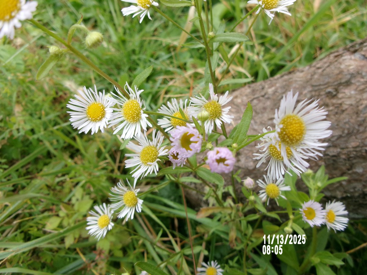 のりちゃん2 on X