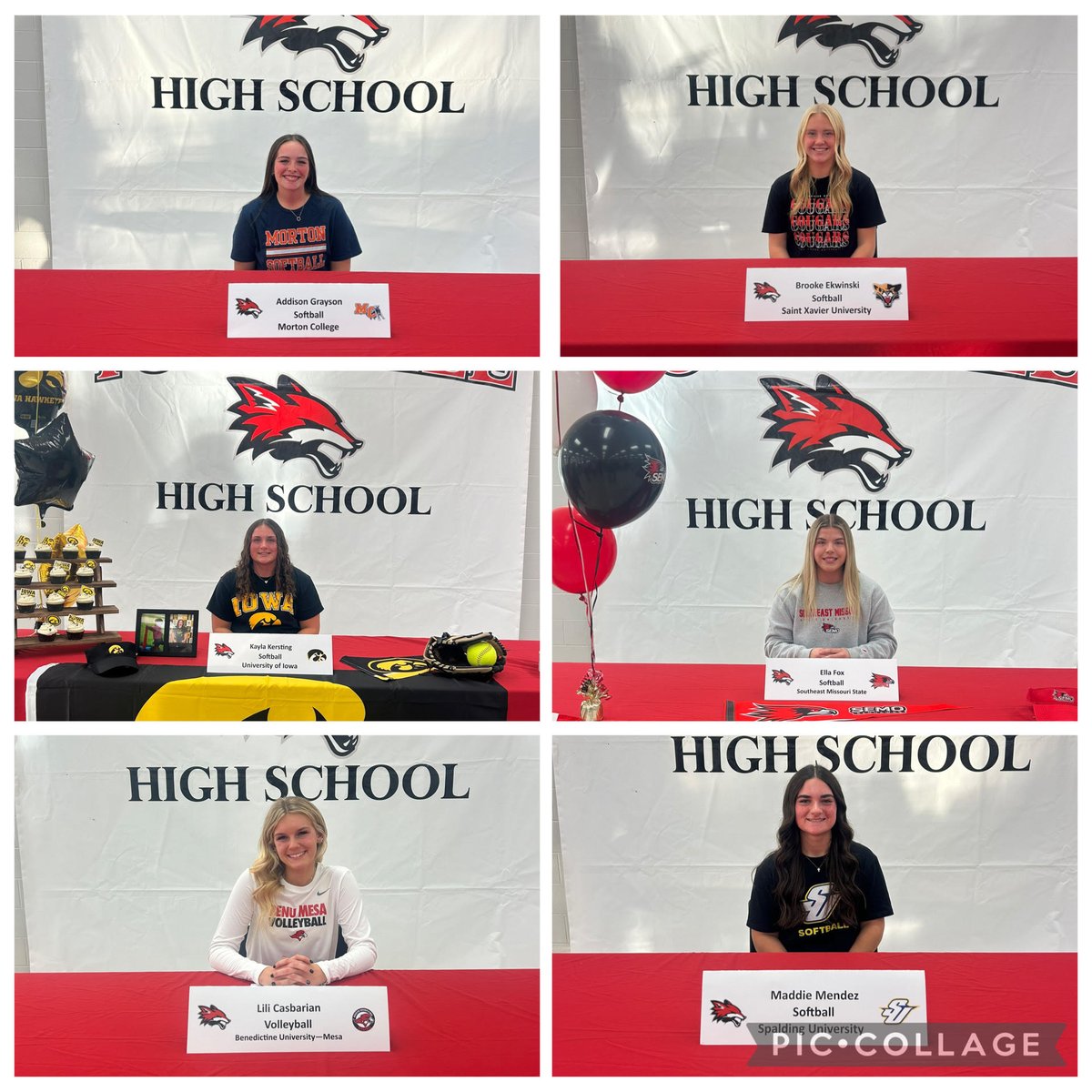 Yorkville Foxes tweet media