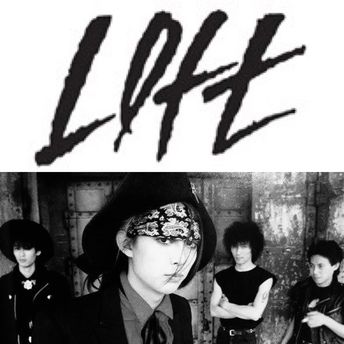 THE WILLARD ウィラード 雑誌 連載 切り抜き17P 16回分 ② THE WILLARD ウィラード 雑誌 連載 切り抜き17P 16回分 ② THE WILLARD