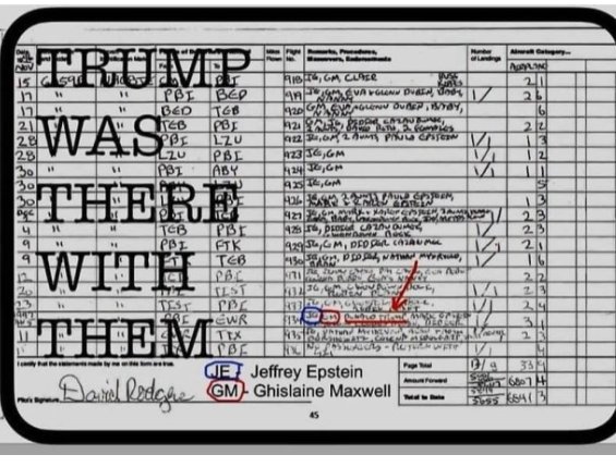 I'm just going to park these Epstein flight logs, here...