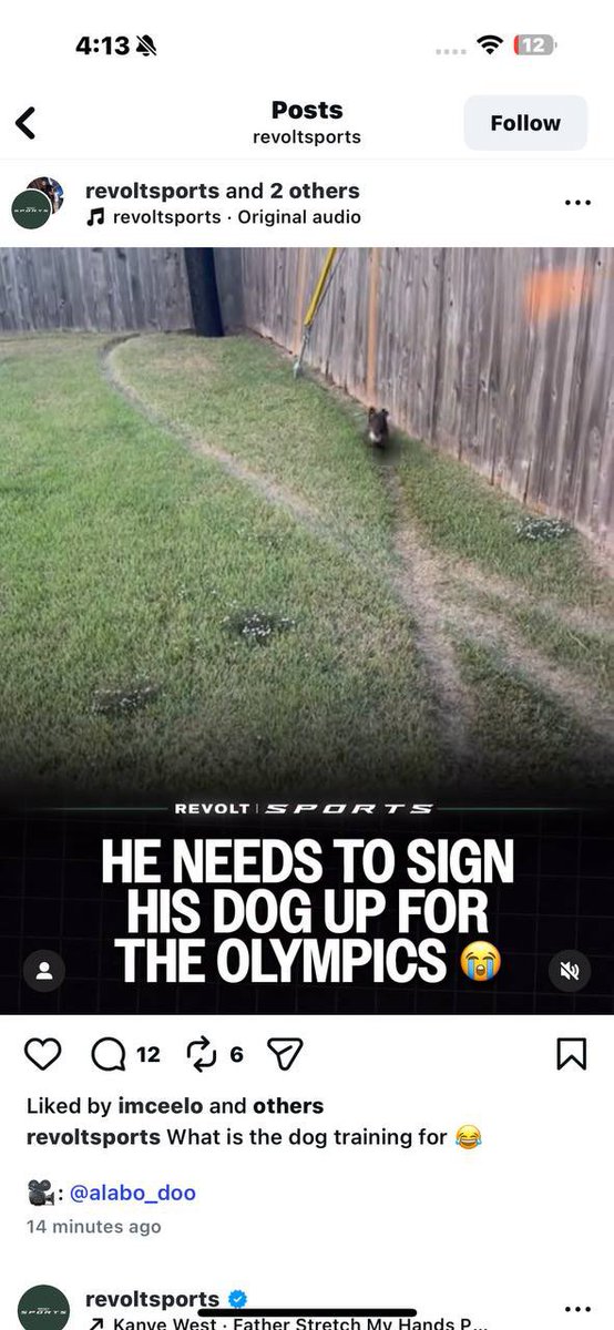 Goodmaad tweet media