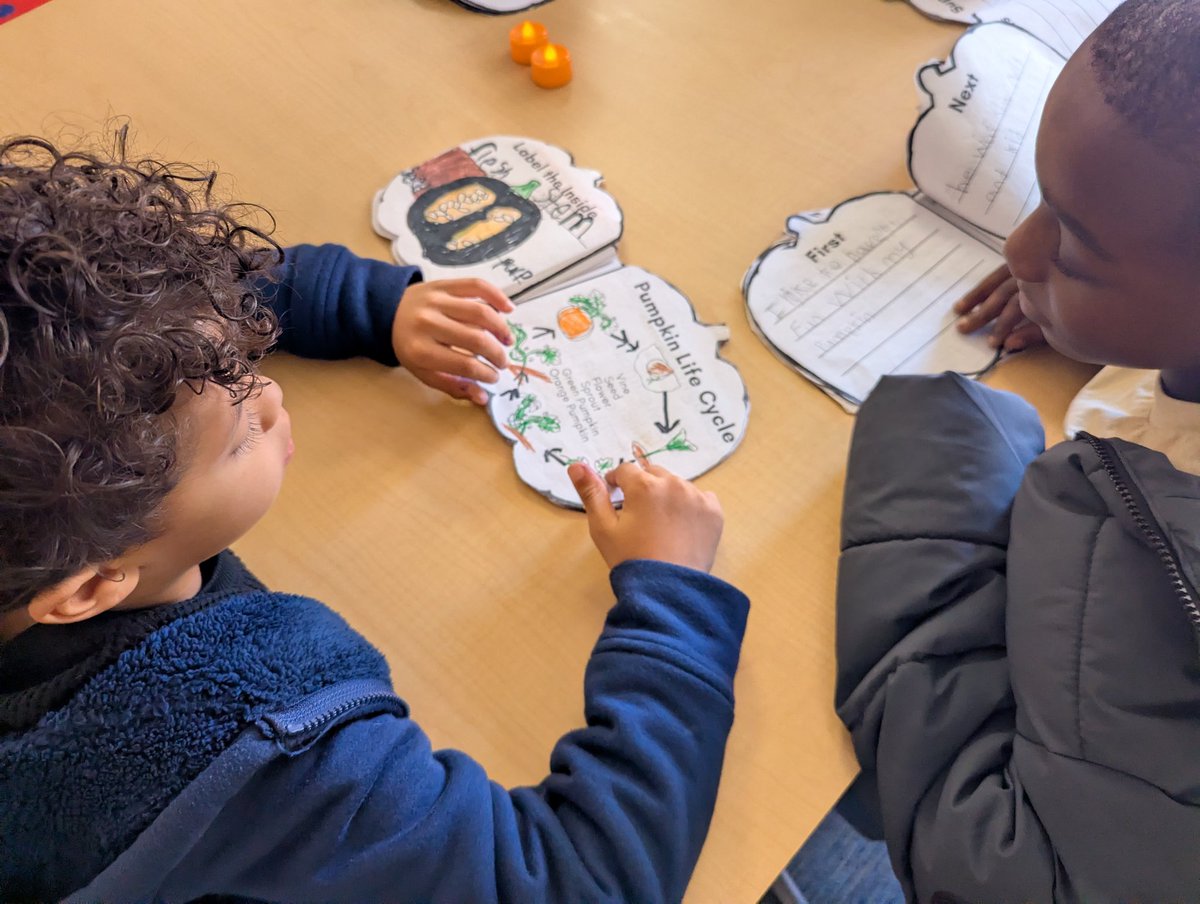 Brandy Hudson tweet media