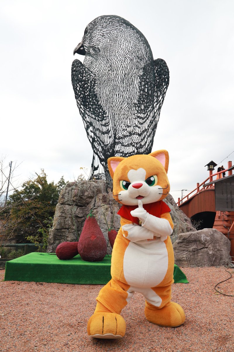 にゃん吉【公式】Nyankichi (@cat_nyankichi) / Posts / X