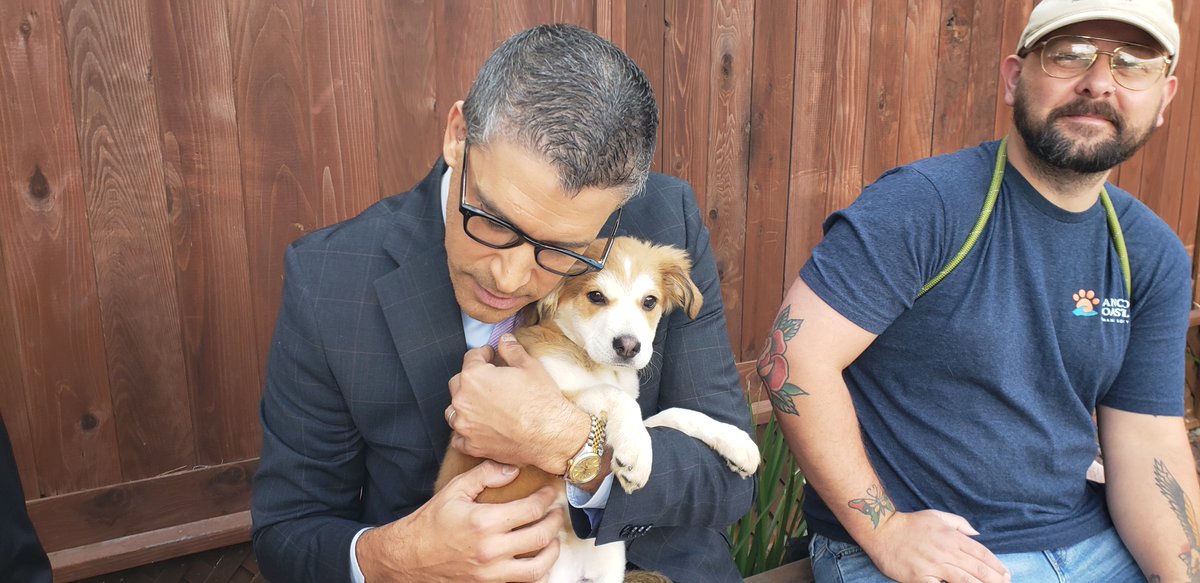 encdogguy's tweet image. Behind the scenes with Adoptable Dogs from Rancho Coastal Humane Society on the FOX 5 San Diego Morning News with Raoul Martinez and Heather Lake. 
Watch for Bruno and Daisy on sdpets.org.  #fox5sandiego #adoptabledogs #raoulmartinez #heatherlake #Ranchocoastal
