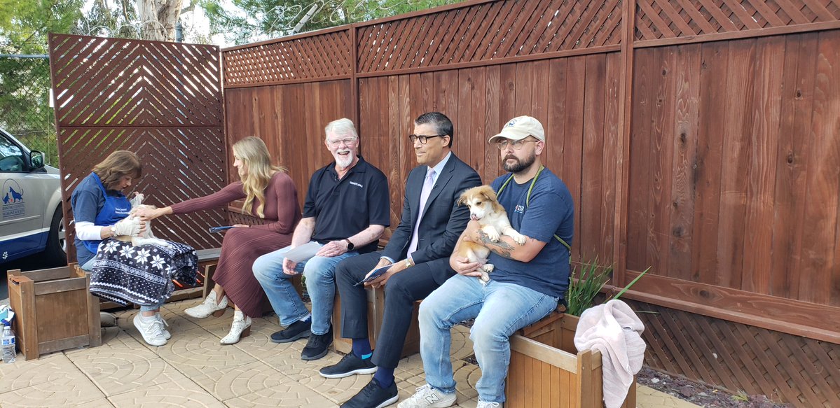 encdogguy's tweet image. Behind the scenes with Adoptable Dogs from Rancho Coastal Humane Society on the FOX 5 San Diego Morning News with Raoul Martinez and Heather Lake. 
Watch for Bruno and Daisy on sdpets.org.  #fox5sandiego #adoptabledogs #raoulmartinez #heatherlake #Ranchocoastal