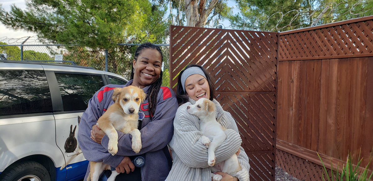 encdogguy's tweet image. Behind the scenes with Adoptable Dogs from Rancho Coastal Humane Society on the FOX 5 San Diego Morning News with Raoul Martinez and Heather Lake. 
Watch for Bruno and Daisy on sdpets.org.  #fox5sandiego #adoptabledogs #raoulmartinez #heatherlake #Ranchocoastal