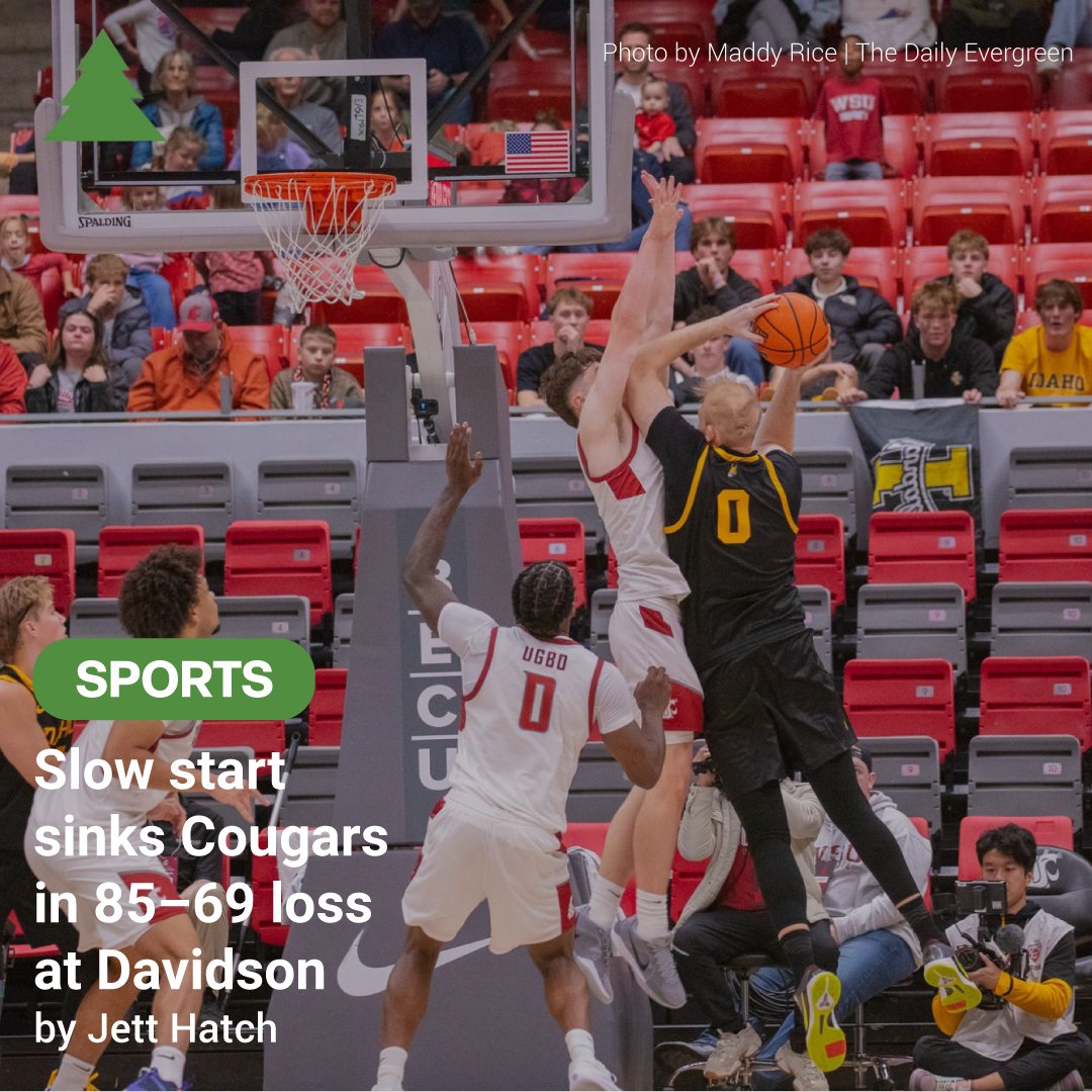 The Daily Evergreen tweet media