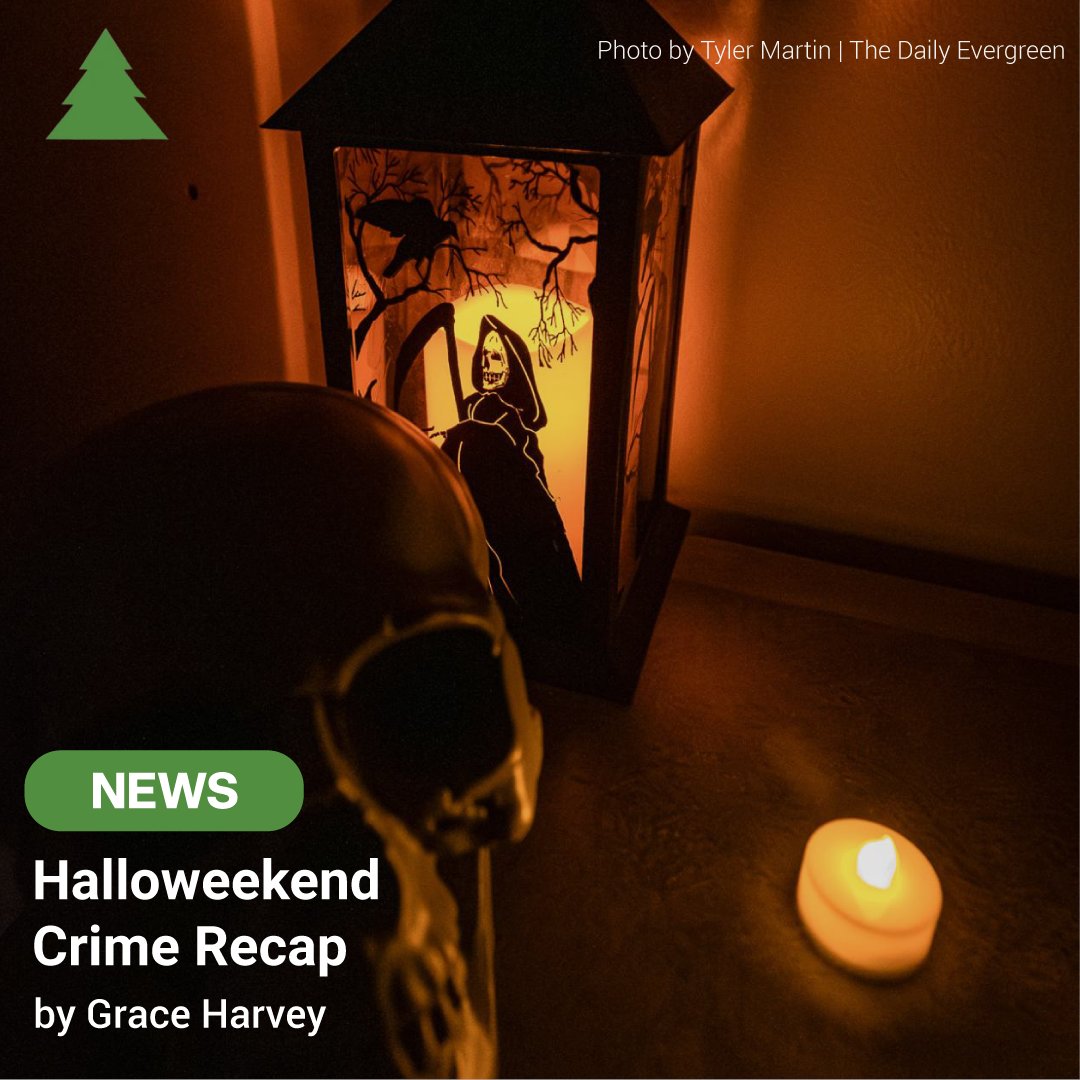 The Daily Evergreen tweet media