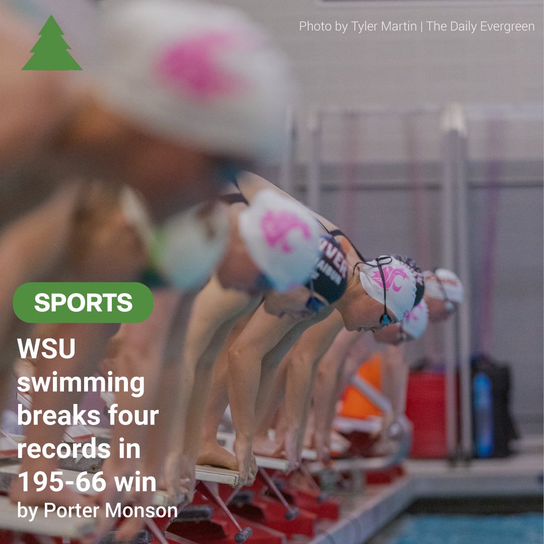 The Daily Evergreen tweet media