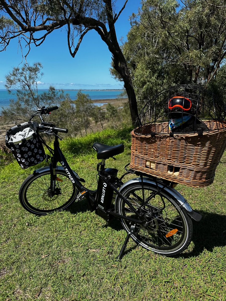 Leitner eBikes tweet media