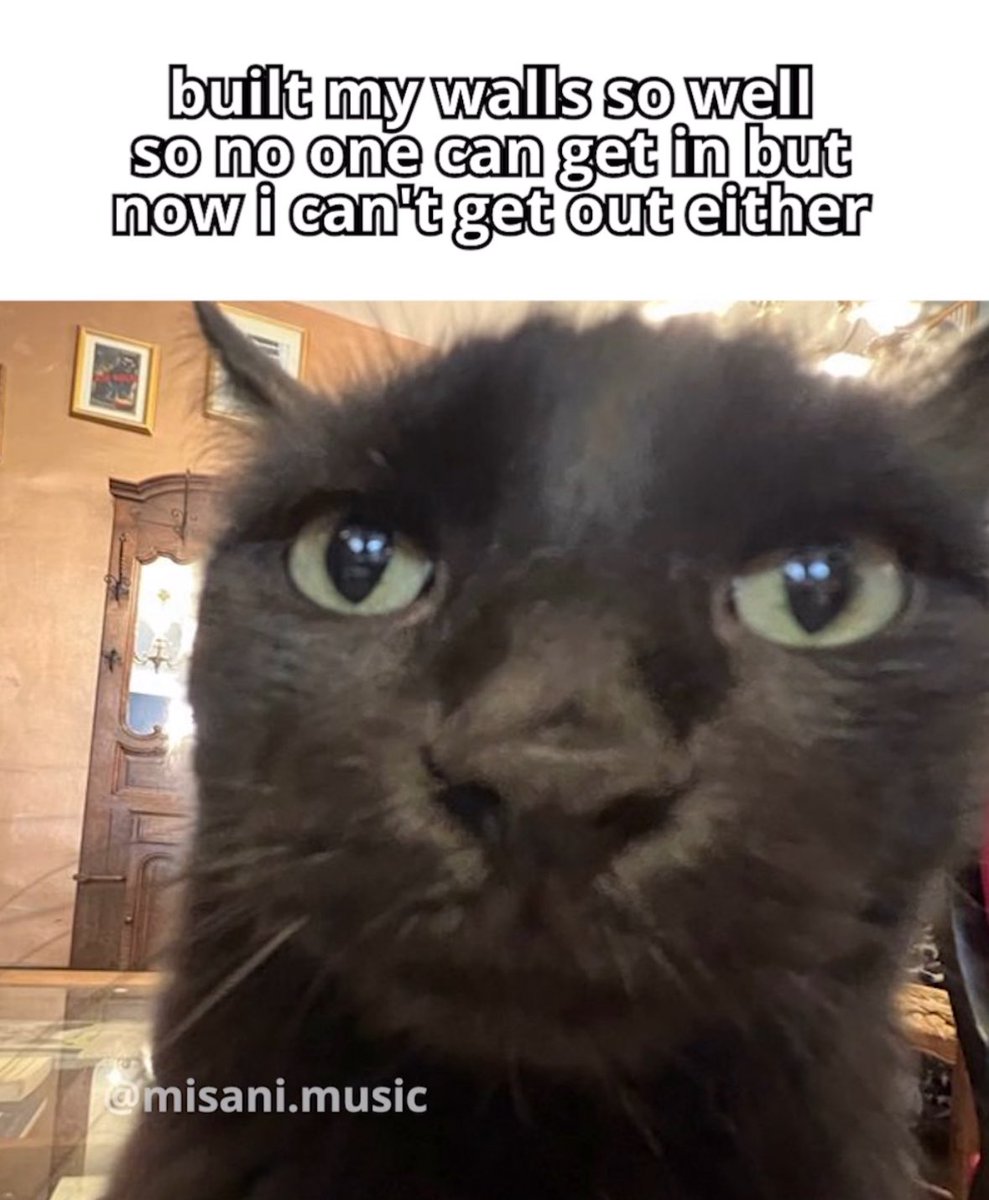 literallymecats's tweet photo. https://t.co/rhTzTmhQQF