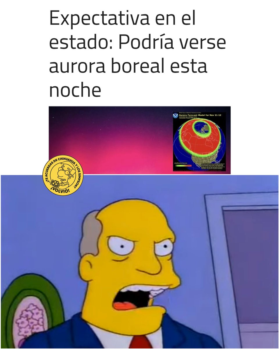 Chihuahua y Los Simpson tweet media
