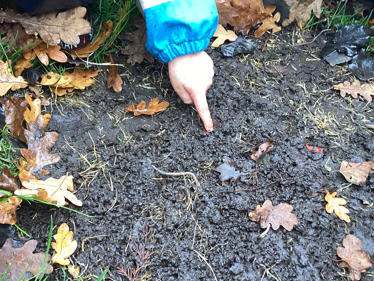 Receptionmonksd's tweet image. #ClassR1 love being outside. Yesterday we explored our playground and as it was really wet and muddy found some wiggly worms, spiders and woodlice. 
We also found some mushrooms and leaves and decided to make some mushroom soup in the mud kitchen. #outdoorfun #naturedetectives